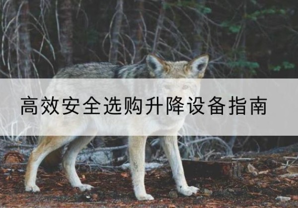 赣榆升降货梯厂家推荐-*安全选购升降设备指南