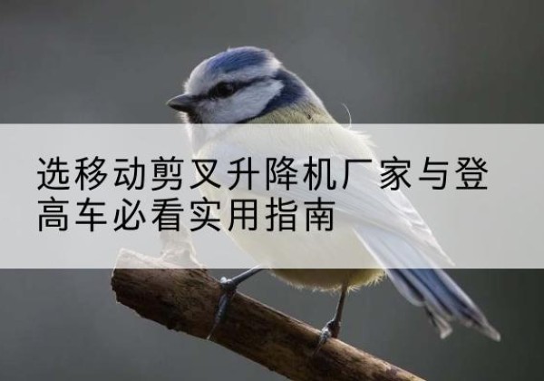 赣榆电动升降机厂家-选移动剪叉升降机厂家与登高车必看实用指南