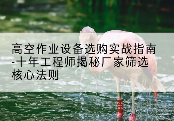 赣榆剪叉式升降机厂家-高空作业设备选购实战指南-十年工程师揭秘厂家筛选核心法则