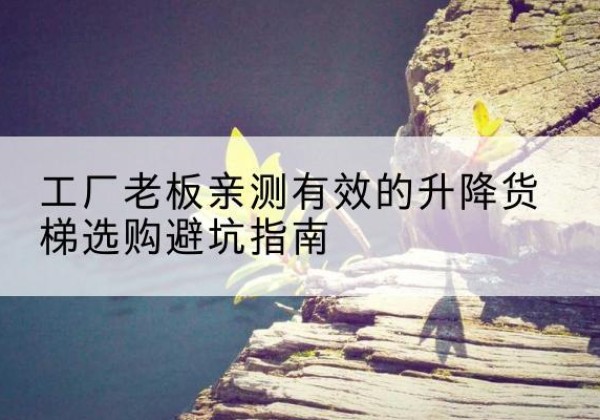 赣榆升降货梯怎么选-工厂老板亲测有效的升降货梯选购避坑指南